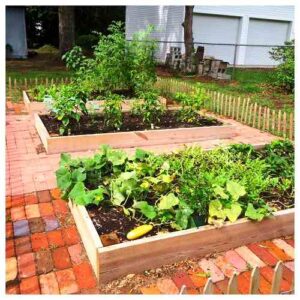How One Family Built a Raised Vegetable Garden for Less than $200 Image